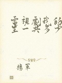 电视剧我的后半生一共多少集