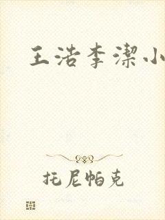 王浩李洁小说