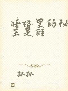 暗格里的秘密女主是谁封面