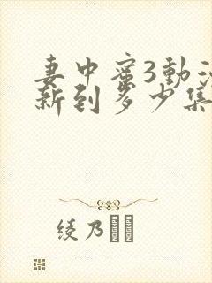 妻中蜜3动漫更新到多少集了