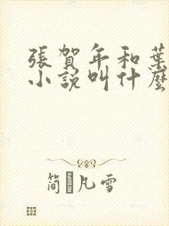 张贺年和叶繁姿小说叫什么名字封面