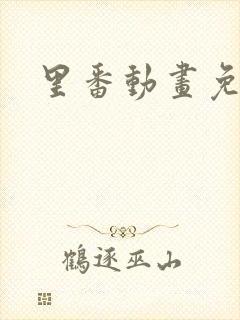 里番动画免费看