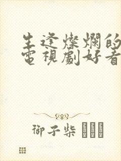 生逢灿烂的日子电视剧好看吗