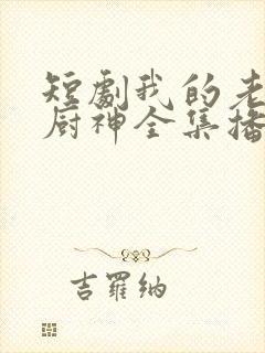 短剧我的老婆是厨神全集播放视频封面