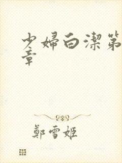 少妇白洁第30章