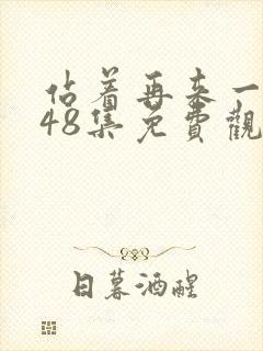 站着再来一次第48集免费观看视频