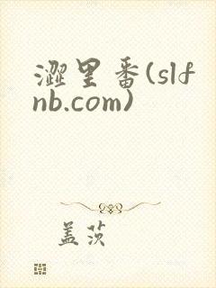 涩里番(slfnb.com)