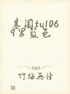 基图tu1069男蓝色封面