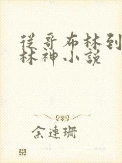 从哥布林到哥布林神小说