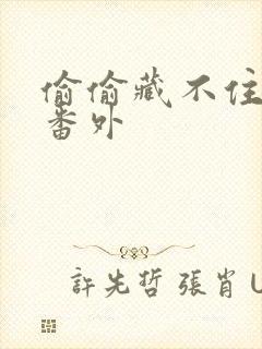 偷偷藏不住新婚番外