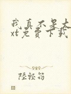 我真不是大佬txt免费下载