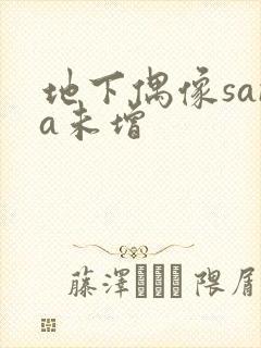 地下偶像sana未增