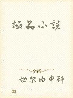 极品小说