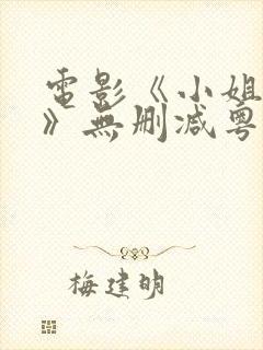 电影《小姐诱心》无删减粤语版