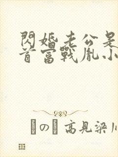 闪婚老公是千亿首富战胤小说