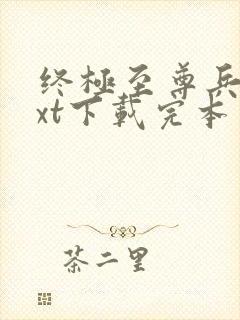 终极至尊兵王txt下载完本