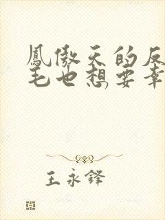 凤傲天的反派黄毛也想要幸福小说