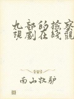 九部的检察官电视剧在线观看免费完整版