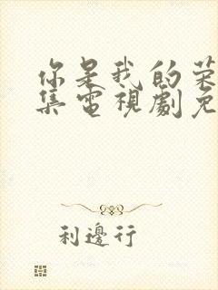 你是我的荣耀全集电视剧免费观看