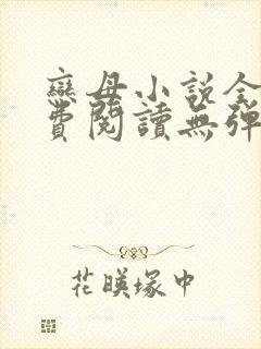 恋母小说全文免费阅读无弹窗笔趣阁