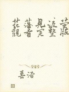 花落见流萤免费观看完整版封面