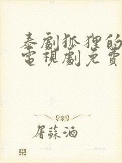 泰剧狐狸的夏天电视剧免费观看