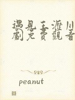 遇见王沥川电视剧免费观看全集剧情