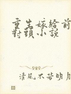 重生嫁给前夫死对头小说