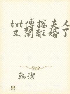 txt傅总夫人又闹离婚了下载