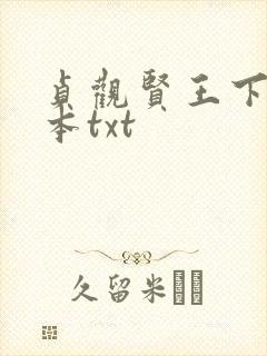 贞观贤王下载全本txt