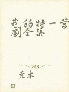 我的特一营电视剧全集