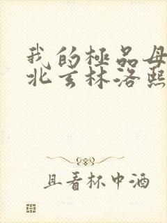 我的极品母亲叶北玄林洛熙全文阅读