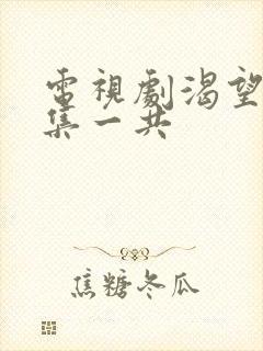 电视剧渴望多少集一共