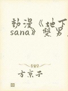 动漫《地下偶像sana》双男主封面