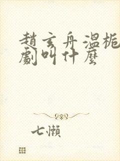 赵玄舟温栀妍短剧叫什么