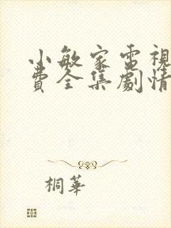 小敏家电视剧免费全集剧情封面