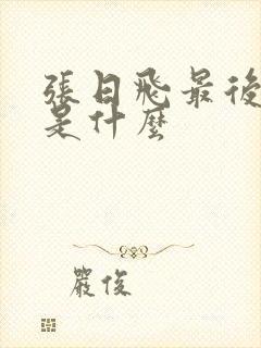 张日飞最后结局是什么封面