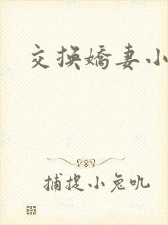 交换娇妻小说
