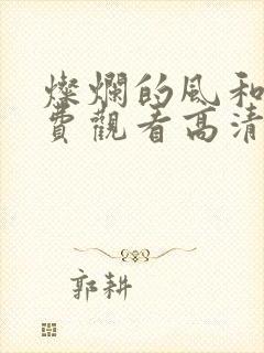 灿烂的风和海免费观看高清完整版