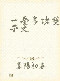 一受多攻双性生子文封面