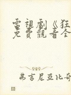 电视剧《狂飙》免费观看全集播放