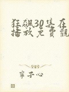 狂飙30集在线播放免费观看