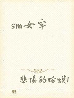 sm女牢封面