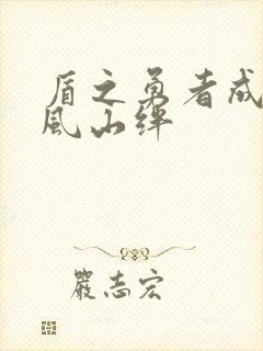 盾之勇者成名录风山绊