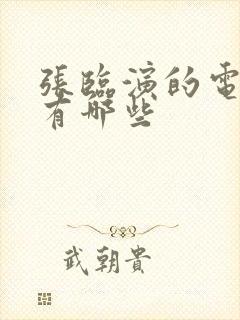 张临演的电视剧有哪些封面