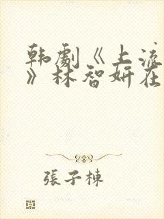 韩剧《上流社会》林智妍在线观看封面