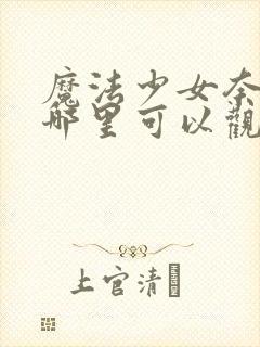 魔法少女奈叶在哪里可以观看