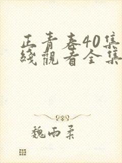 正青春40集在线观看全集