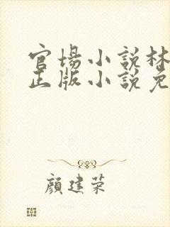 官场小说林飞扬正版小说免费阅读