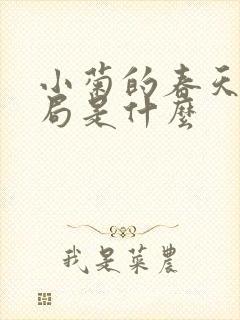 小菊的春天大结局是什么